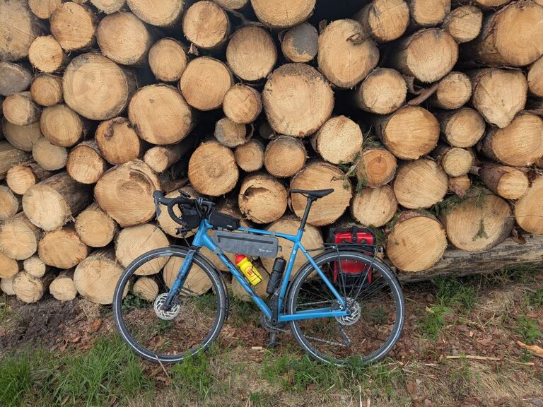 Obligatory log picture